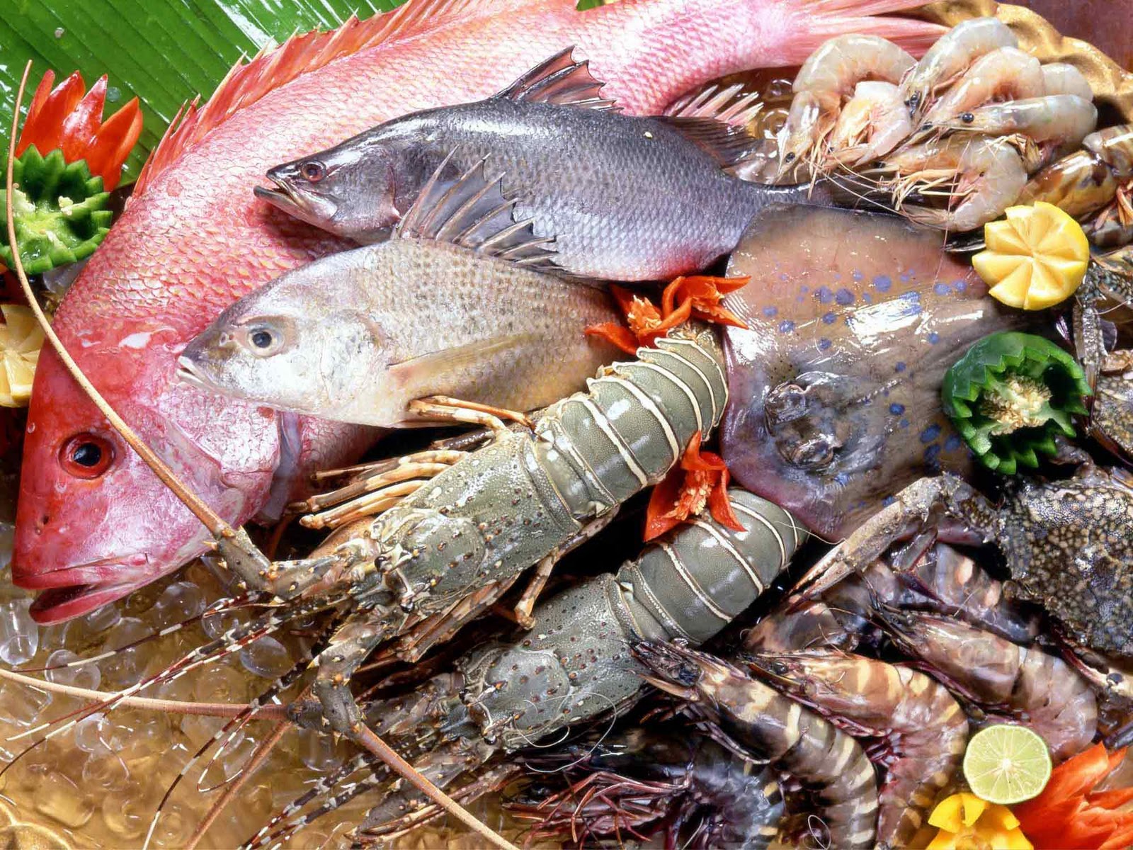 Thực phẩm, cách chọn thực phẩm dùng trong sinh hoạt hàng ngày